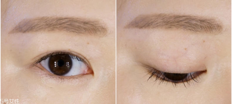 ��ʽƽü��ô�� ��ʽƽü����ϸ����